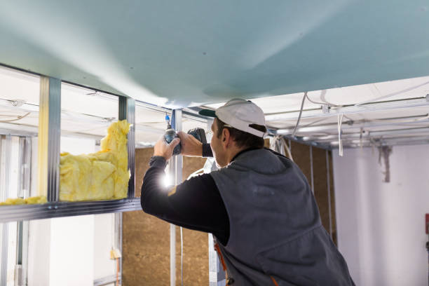 Best Residential Insulation in Baldwin, LA
