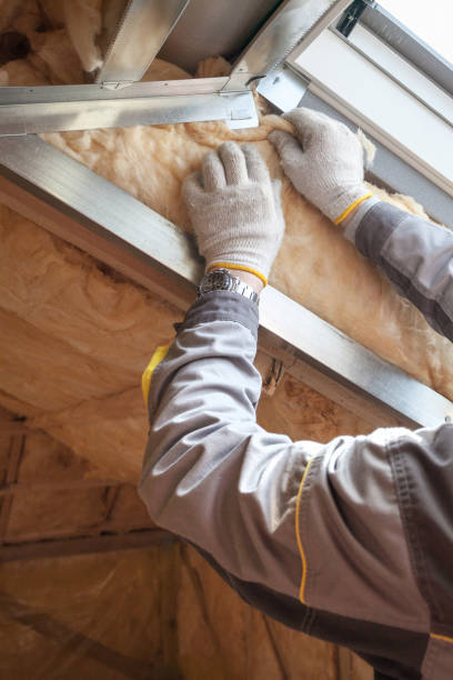 Best Insulation for Specific Applications in Baldwin, LA