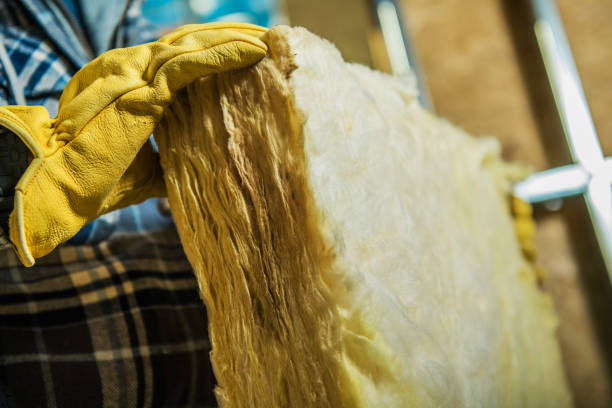 Best Types of Insulation in Baldwin, LA