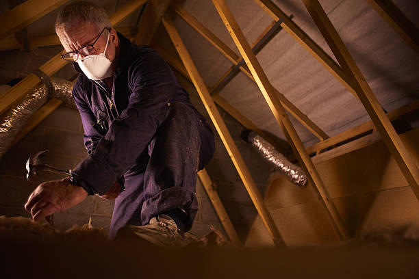 Best Commercial Insulation in Baldwin, LA